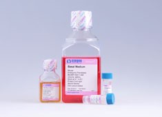 Cyagen 提供的原代細胞培養(yǎng)試劑