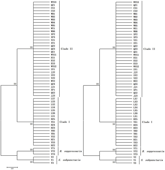 農科院在PLOS ONE揭示茶尺蠖種群遺傳分化規律