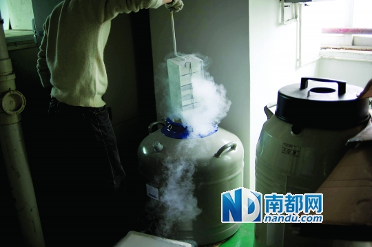 <p>&nbsp;&nbsp;&nbsp;&nbsp;市二醫院，從患者血液中分離出的免疫細胞被存儲在液氮罐里。</p>