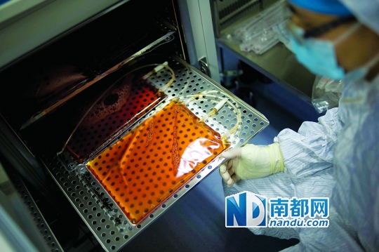 <p>&nbsp;&nbsp;&nbsp;&nbsp;免疫細胞培養到一定數量后轉移到更大的袋子里儲存。</p>